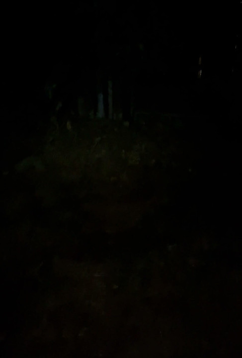Huge tits milf neighbor watched through hole in fence by peeping tom