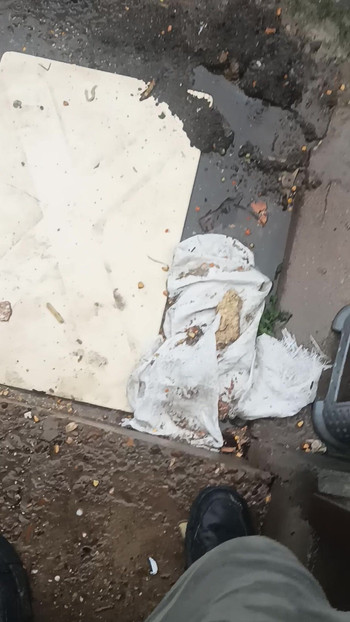 Opuštanje ispred moje kuće