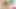 Pervcity - tante seksi ryan keely dicrot di dalam sama kontol besar pria kulit hitam