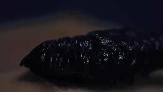 Эпизод ночной неподвижности