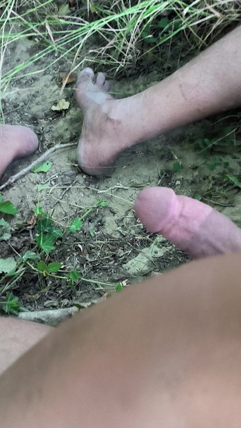 Masturbation in nature