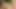 Yalnız orta yaşlı seksi kadınlar açık havada güneşin altında maceracı oluyor