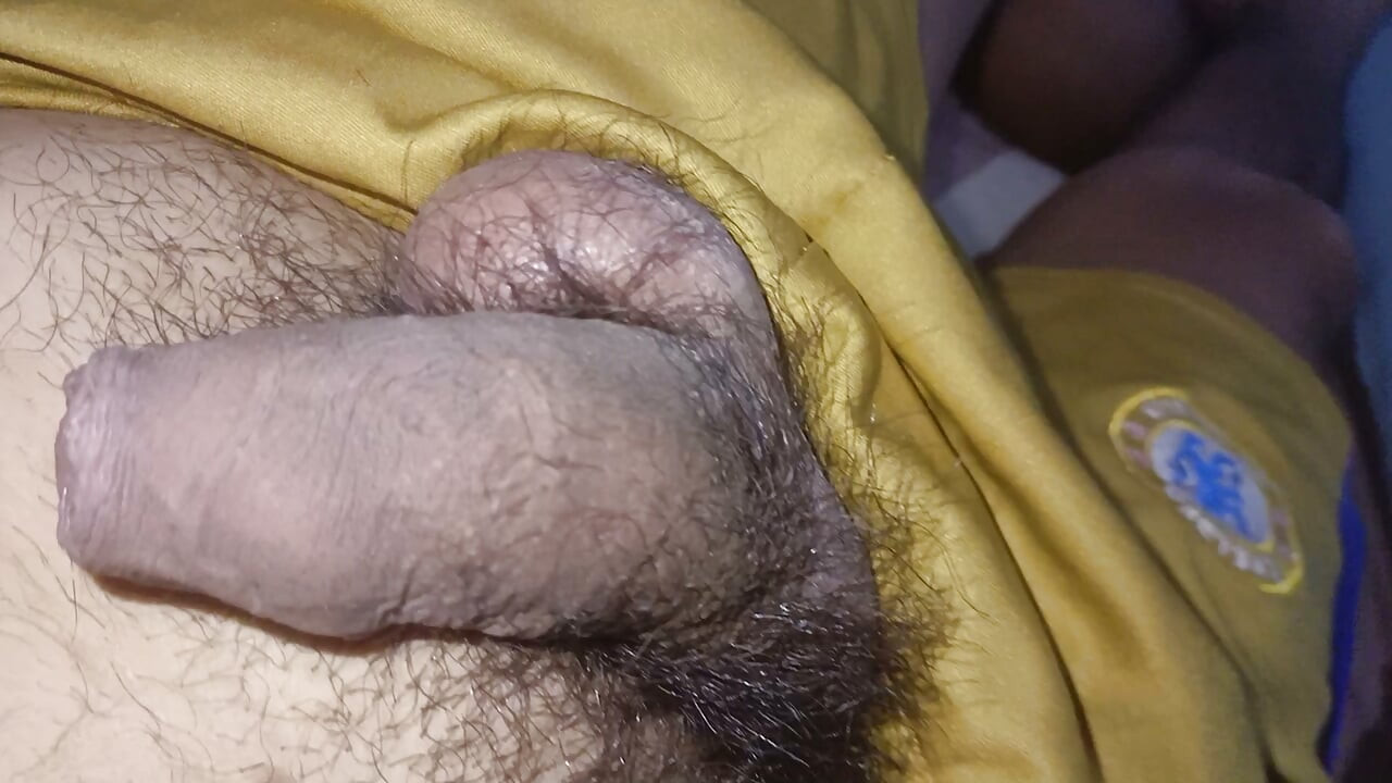 Uncircumcised dick