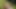 Naked Wank In The Woods