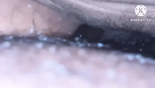 Step Freced