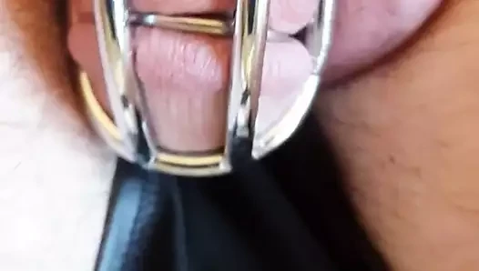 cage