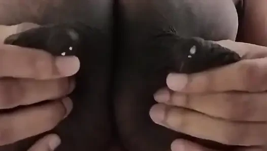 Disetubuhi
