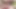 Slow motion cum shot in the woods