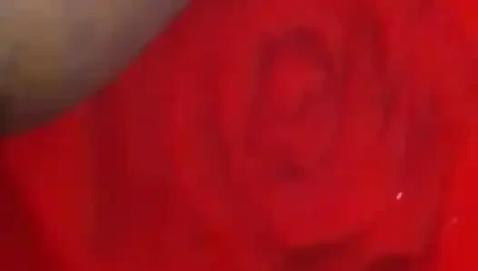 Pacar terangsang India disetubuhi oleh kekasih