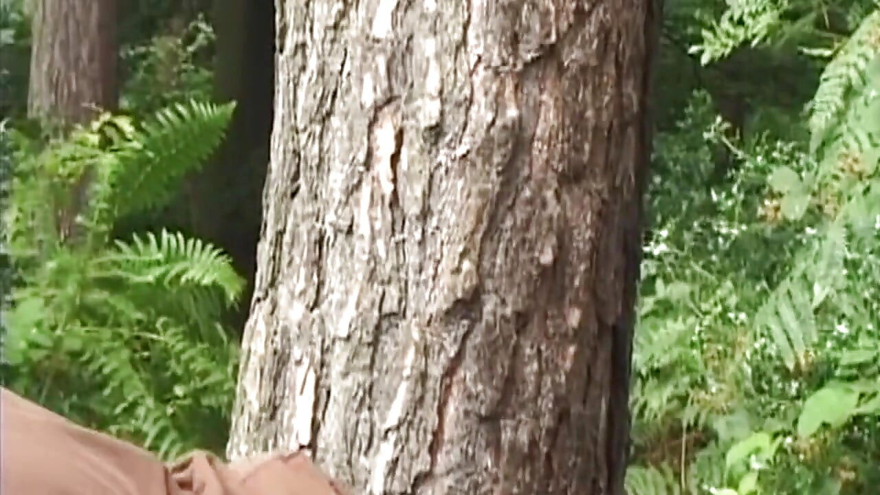 Bound Mature Blonde MILF Drilled Anal Against Tree