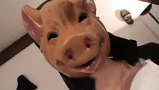Piggy the teacher