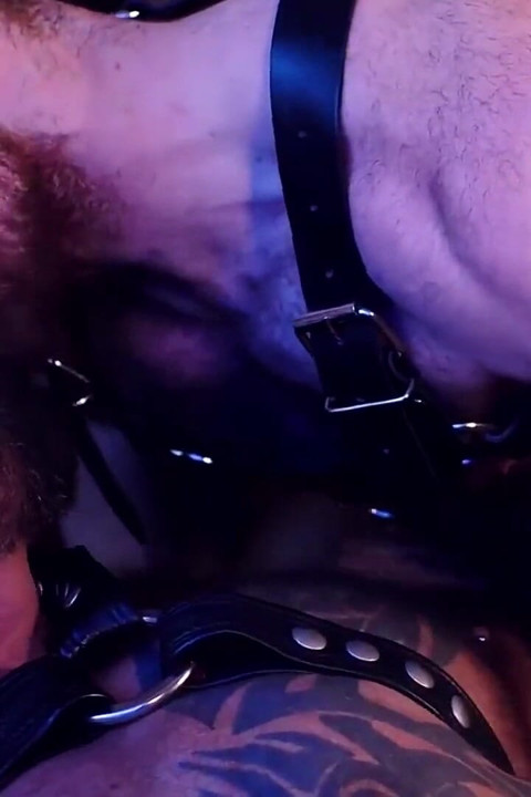 BEARFILMS Hairy Bears Marc Angelo And Sean Knight Bareback