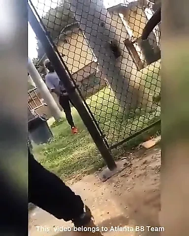 Horny guys fucking in the park