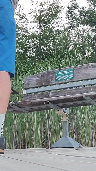 Bench in the park | Clip 1