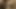 ヘレンぽっちゃり系
