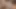Asyalı japon pornosu – ateşli kız sert bir sikişiyor