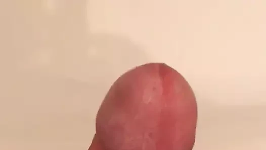Bolca döl