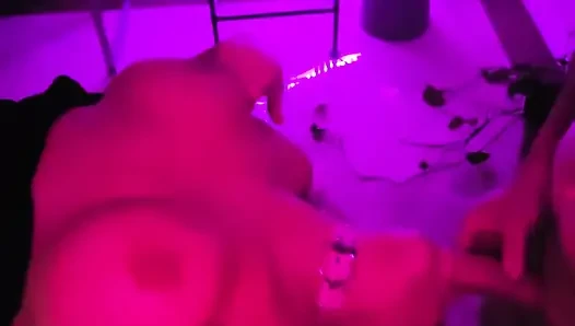 Pretty Party Smokey Kitty