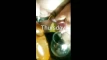 Video ön izlemesi