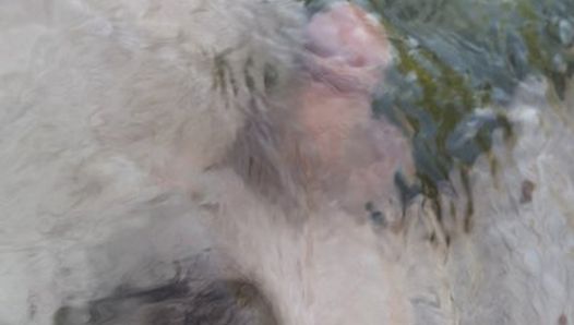 Desnuda junto a un río con un anillo de polla - caminante desnudo