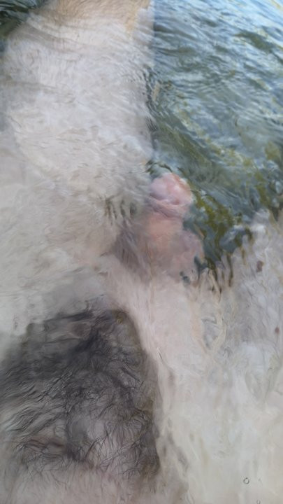 Naakt bij een rivier met een cockring - naakte wandelaar