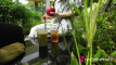 Pratinjau video