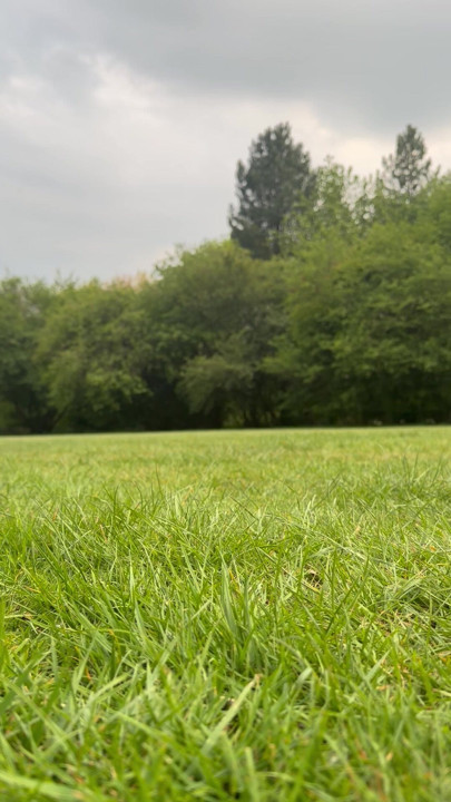 A twink boy showing dick in park