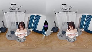 TMW VR Net