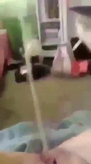 Bitch