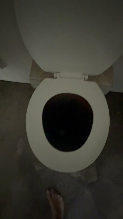 Public Urinal Piss and Play