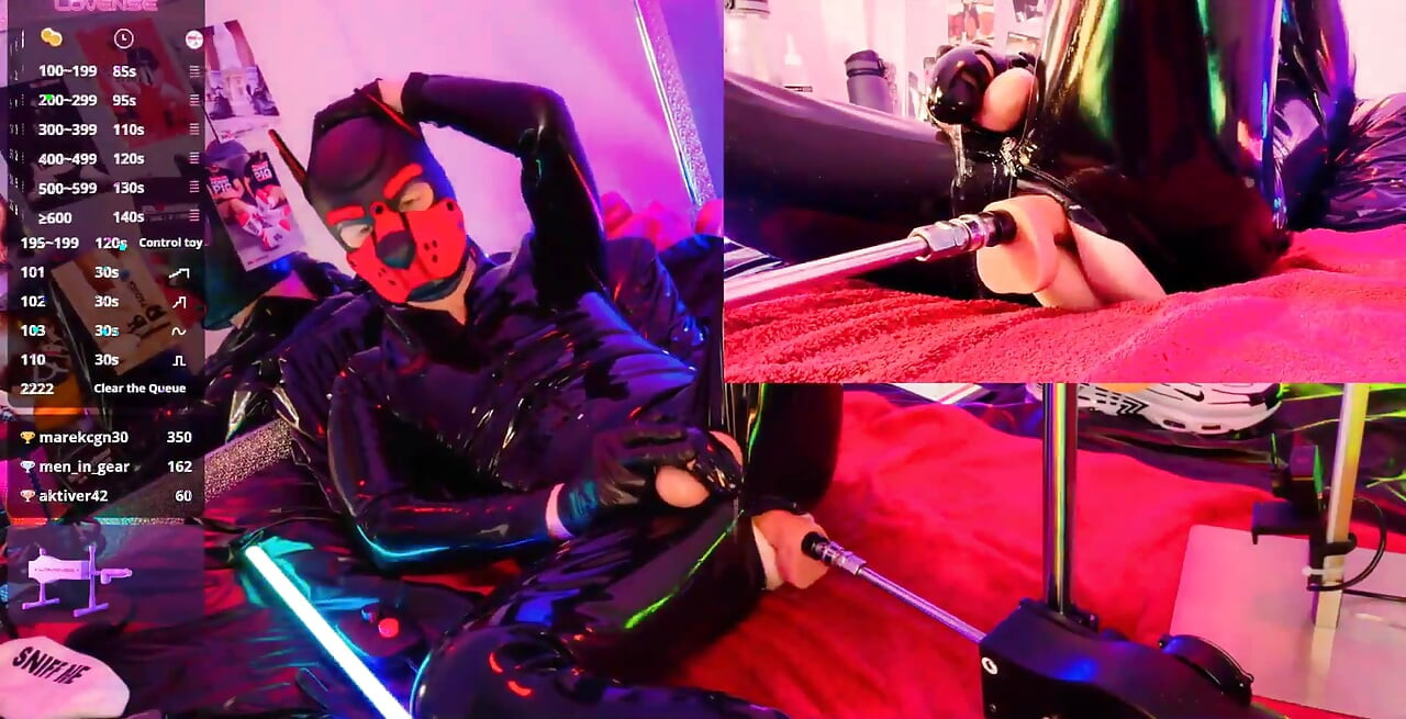 Nicolaus Rubber Show with Pet Mask