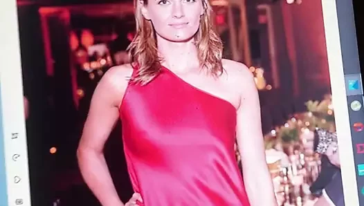 Haraç stana katic