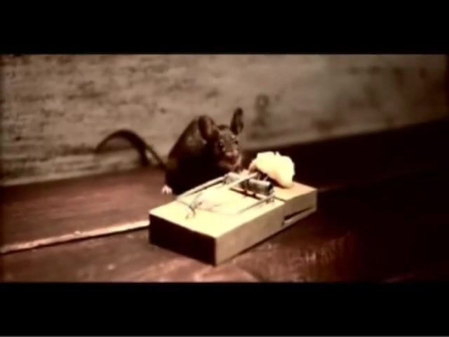 Nolan's Seriously Strong Cheddar Advert