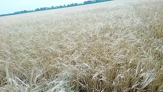 Naked Guy Pisses a Lot Outdoors Then Jerks Off and Cums