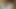 異人種間-フランス人ぽっちゃり系