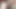 Nikki Charm gibt Peter North einen Blowjob zum Abspritzen