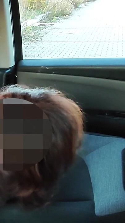 Iconic moment from "DOGGING my STEPDAUGHTER in a PUBLIC PARKING lot after SCHOOL and a VOYEUR FUCKS her PUSSY until she SQUIRTS"