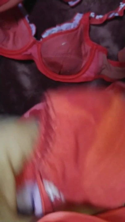 brother wife's panty and bra