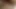 Super Saxy Couple Fucks Till Creampie After Christmas Party