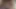 Four shemale dominas fuck their slave in bondage with a