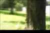 Pratinjau video