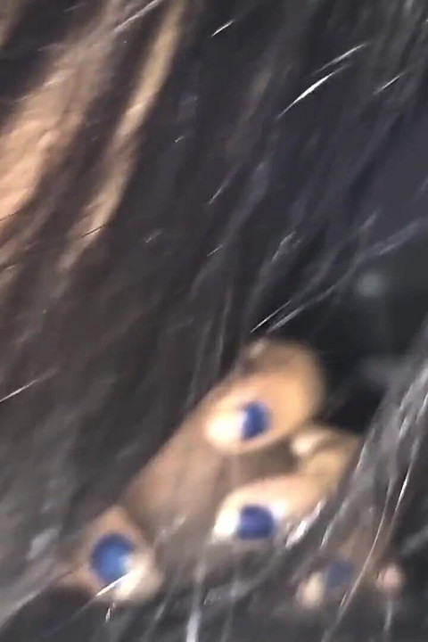 Só chupar sem foda