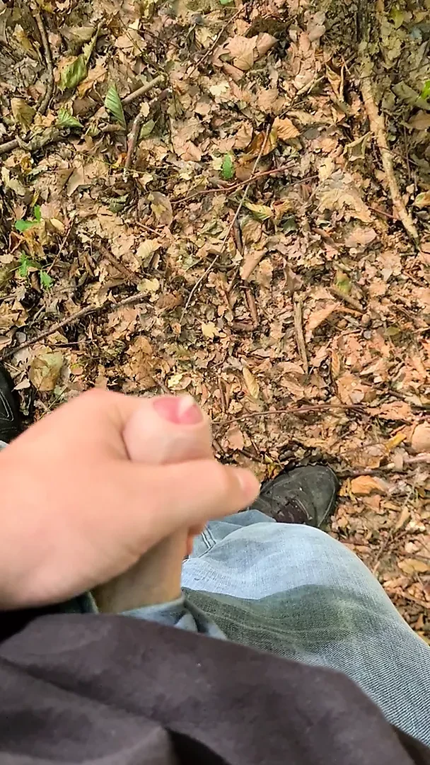 cum im Wald