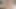 PansexualX - Leashed Babe DP'd in Hot Bisexual Threesome