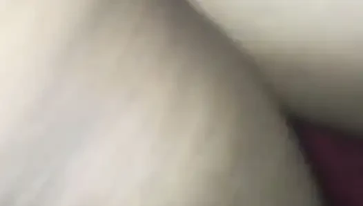Doggys Style Milk