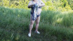 Pregled videozapisa