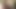 Asian Girl Blowjob For Green Card