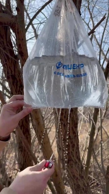 Survival lifehack bushcraft ✅ survival  camping lifehacks outdoors forest bushcraft shorts