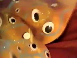 Музыкальное видео со странным пением кисок