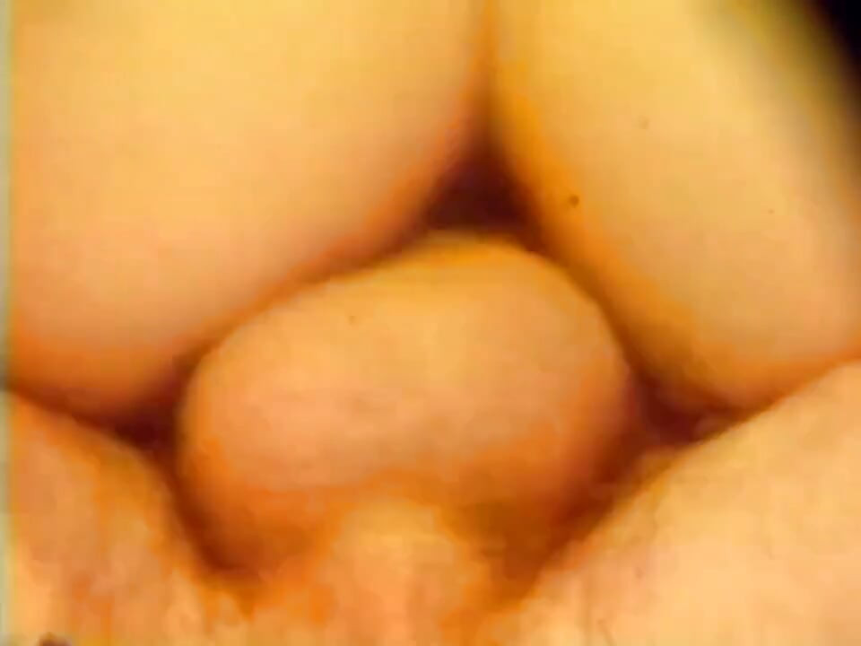 Big threesome pussy fucking, big hairy cock sucking